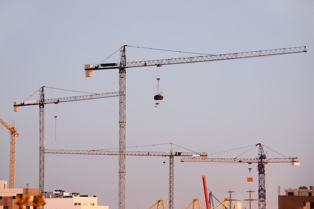 Quelques grues sur le chantier