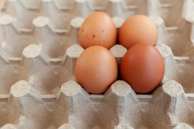 Quelques œufs bruns parmi les cellules d'un grand sac en carton un œuf de poule comme élément nutritif précieux