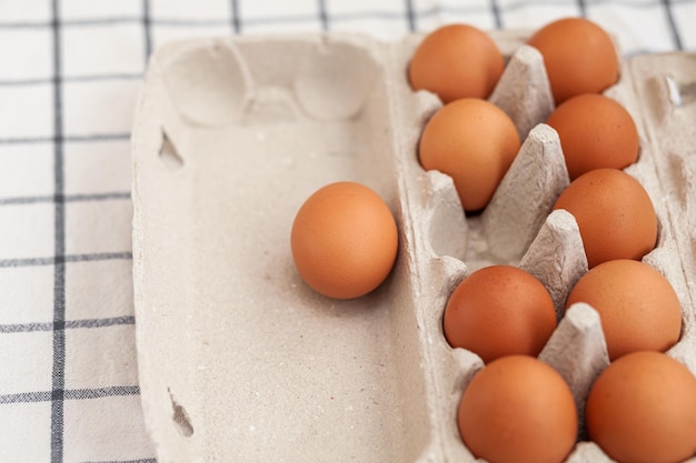 Quelques œufs bruns parmi les cellules vides d'un grand sac en carton