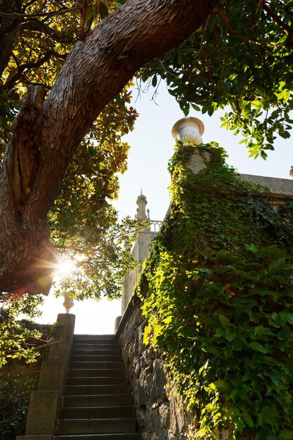 À quelques pas du jardin du palais Vorontsov Alupka