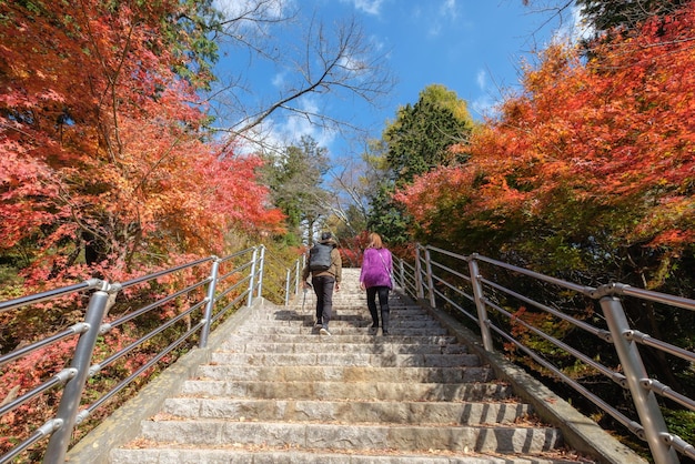 Quelques touristes marchent jusqu'au sentier escarpé avec de l'érable vibrant en automne