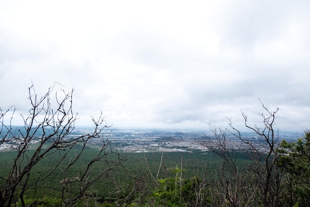 Queretaro Une symphonie à l'œil d'oiseau du Mexique Beaut