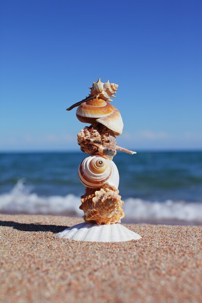 Équilibre ou équilibre des coquillages sur la plage de la mer