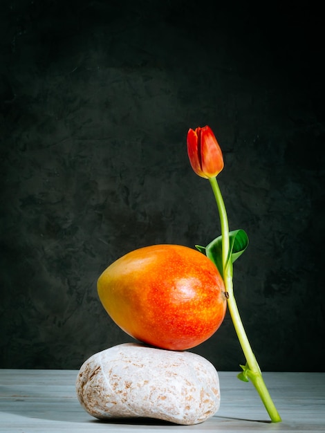 Équilibre de mangue tulipe et de pierre