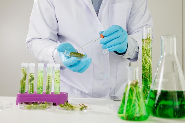 Équipe de chercheurs scientifiques travaillant sur la recherche et la science biotechnologique Photobioréacteur en laboratoire d'algues carburant biocarburant biochimique durable