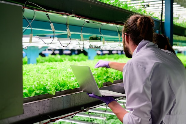 Équipe de scientifiques travaillant et effectuant des recherches dans l'agriculture hydraulique et biologique