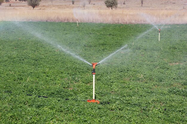 Équipement d'irrigation Arroseurs d'eau agricole Arrosage des plantes agricoles Champ de culture Champ de trèfle