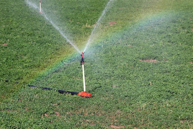 Équipement d'irrigation Arroseurs d'eau agricole Arrosage des plantes agricoles Champ de culture Champ de trèfle