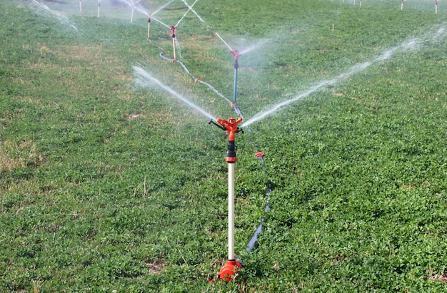 Équipement d'irrigation Arroseurs d'eau agricole Arrosage des plantes agricoles Champ de culture Champ de trèfle