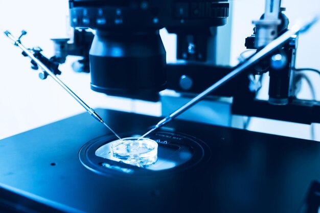 Équipement sur le laboratoire de fécondation FIV Microscope de la clinique de médecine de la reproduction fertilisant l'œuf à l'extérieur du corps féminin Recherche en laboratoire sur les maladies