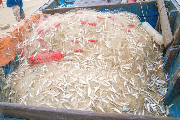 Équipement de pêche aux filets de mer ou agrès comme toile de fond de texture avec la lumière naturelle du soleil et l'ombre