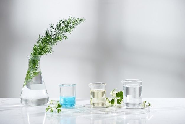 Équipement en verre de laboratoire avec des ingrédients naturels sur fond blanc