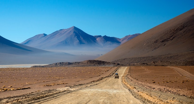 Équitation, bolivien, soleil, paysage