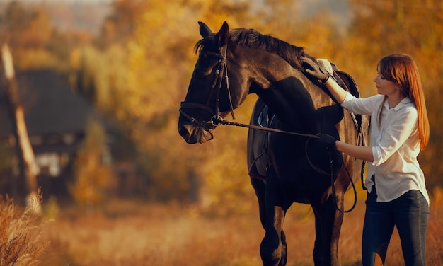 Équitation