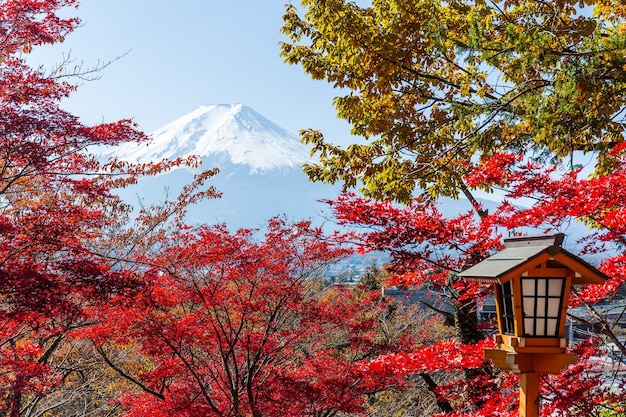 Érable rouge et mont Fuji