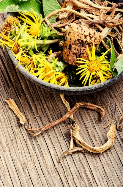 Racine et fleurs d&#39;inula