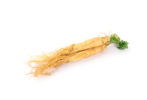 Racine de ginseng isolé sur fond blanc