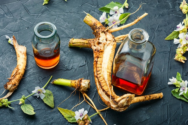 Racine ou rhizome d'Althaea et teinture cicatrisante.Herbes et plantes médicinales.