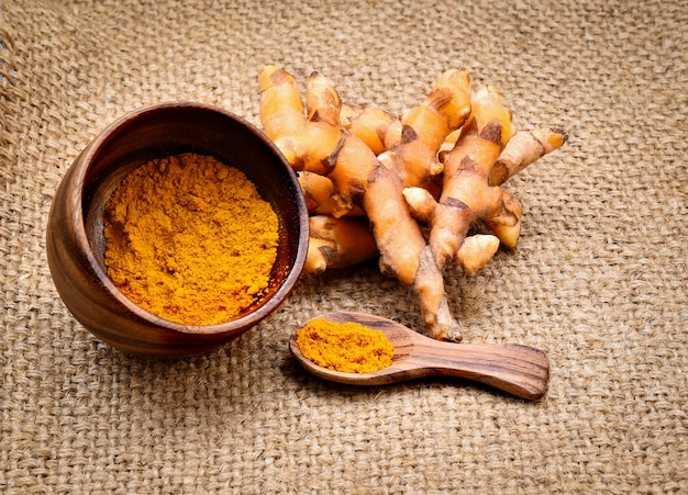 Racines de curcuma avec de la poudre de curcuma sur fond de tissu