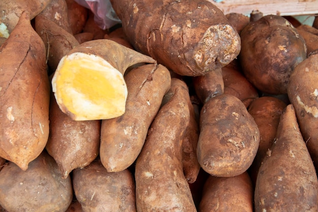 Racines fraîches de Yacon dans le contexte du marché