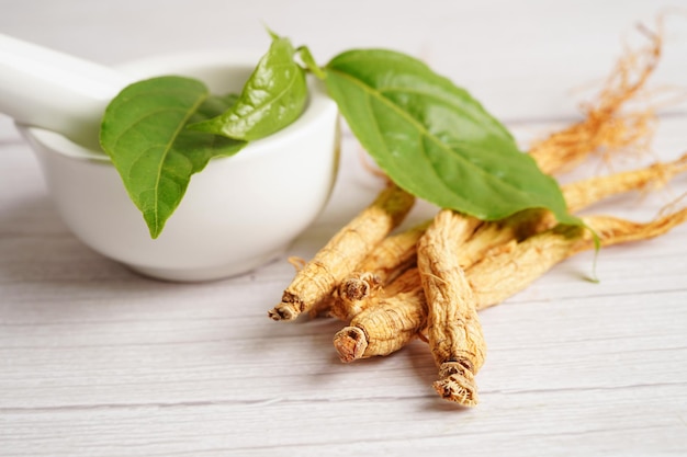 Racines de ginseng et nourriture saine de feuille verte