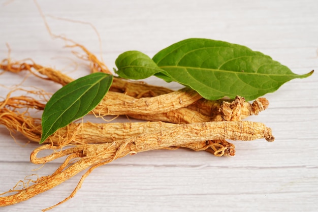 Racines de ginseng et nourriture saine de feuille verte