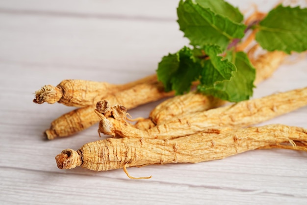 Photo racines de ginseng et nourriture saine de feuille verte