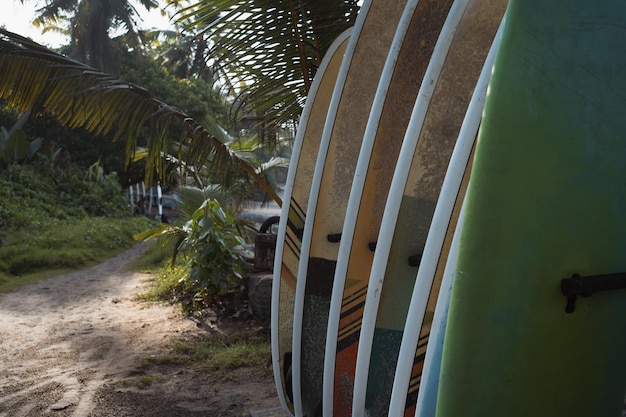 Rack avec planches de surf à l'école de surf sur le coût de l'océan dans les tropiques