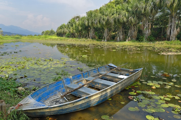 radeau flottant sur une zone humide