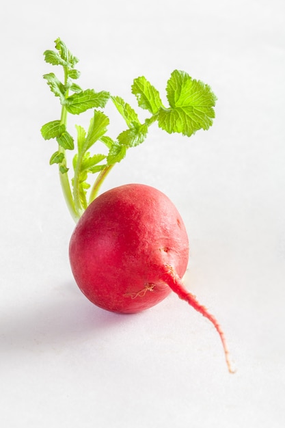 Radis cerise Belle isolé sur fond blanc