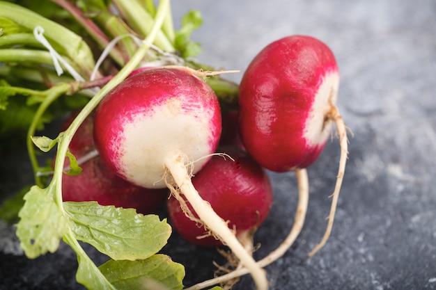 Radis organiques rouges frais avec des feuilles sur une surface en marbre.