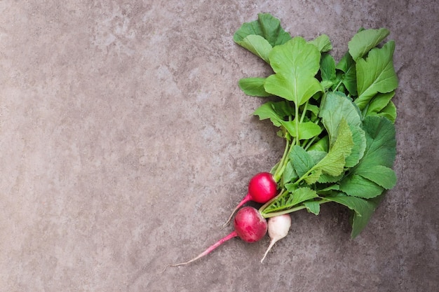 Radis Rose Fraîchement Cueilli Avec Des Feuilles Vertes Sur Fond De Béton Photo Premium