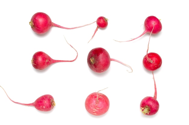 Radis rouge sur fond blanc Légumes sains