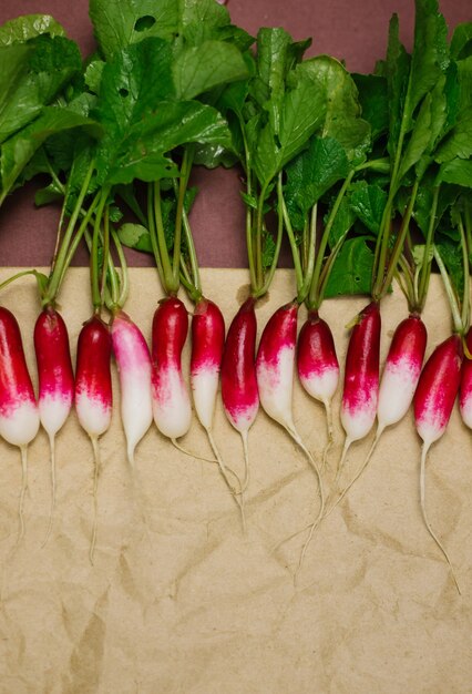 Le radis rouge fraîchement cueilli sur du papier kraft froissé se trouve dans une rangée. Cultiver des légumes, récolter.