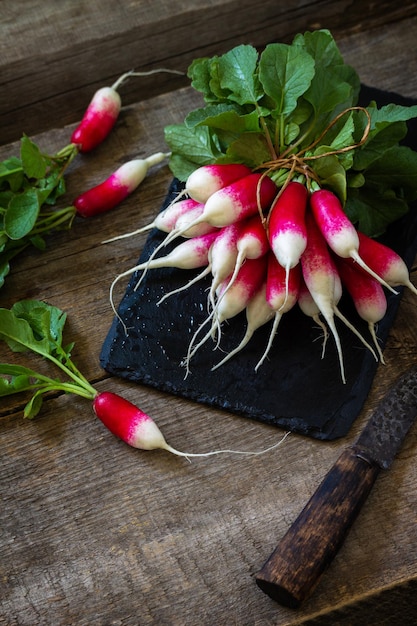 Radis rouge récolté en été Légumes biologiques Radis de jardin juteux frais et crus Copier l'espace