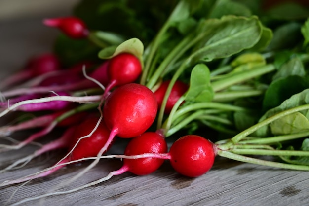 Radis rouges frais dans une passoire blanche Légumes biologiques de la ferme Fond gris Vue de dessus