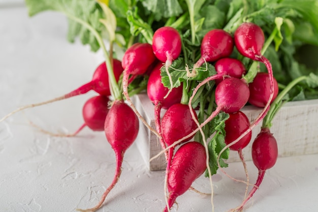 Radis rouges frais Radis rouges récoltés en été