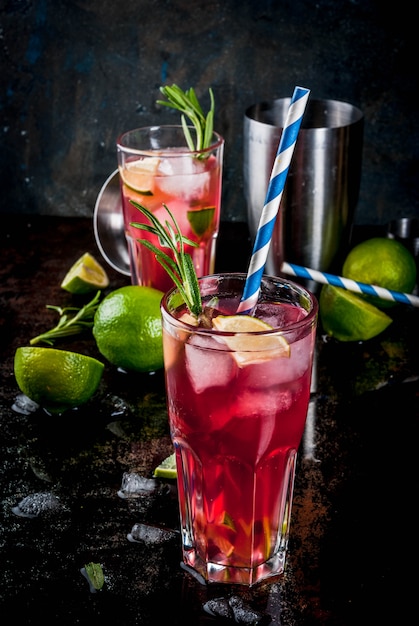Rafraîchissement cocktail alcoolisé de canneberges rouges et de lime au romarin et à la glace, deux verres, foncé