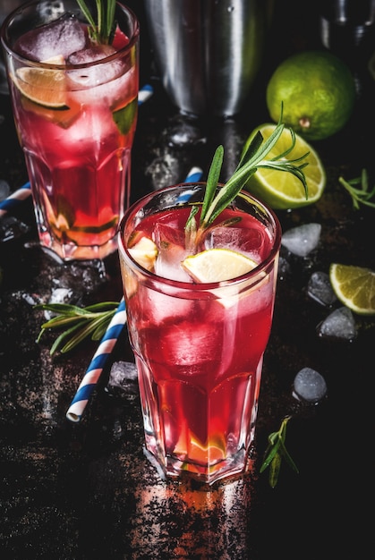 Rafraîchissement cocktail alcoolisé de canneberges rouges et de lime au romarin et à la glace, deux verres, fond sombre
