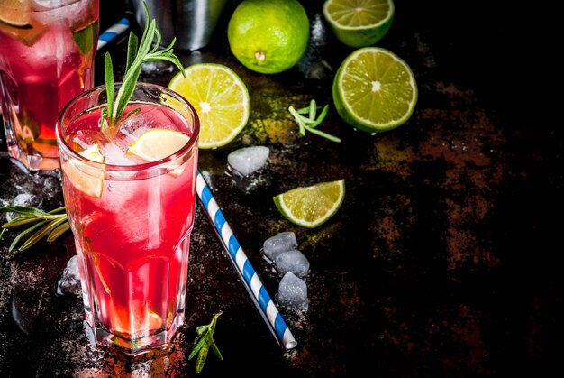 Rafraîchissement Cocktail Alcoolisé De Canneberges Rouges Et De Lime Au Romarin Et à La Glace, Deux Verres