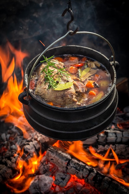 Ragoût de chasseur délicieux et chaud à base de viande et de légumes