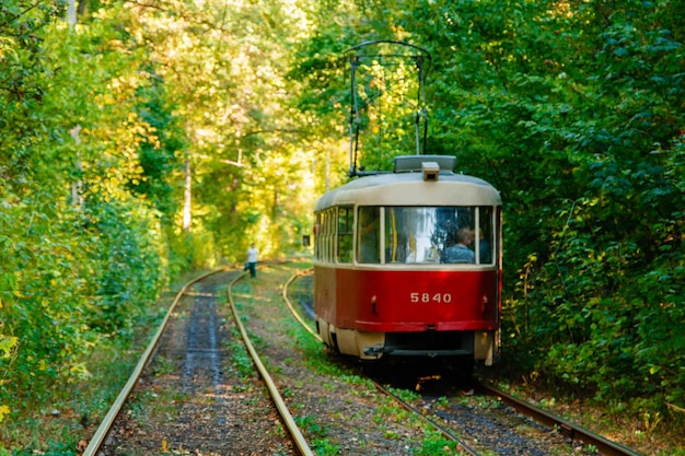 Rails de tram et de tram dans la forêt colorée