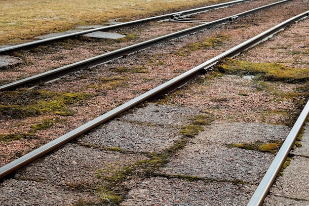 Rails de voies de tram close up avec de l'herbe