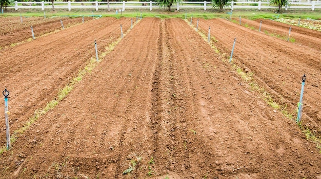 Rainure de champ de labour avec ressort