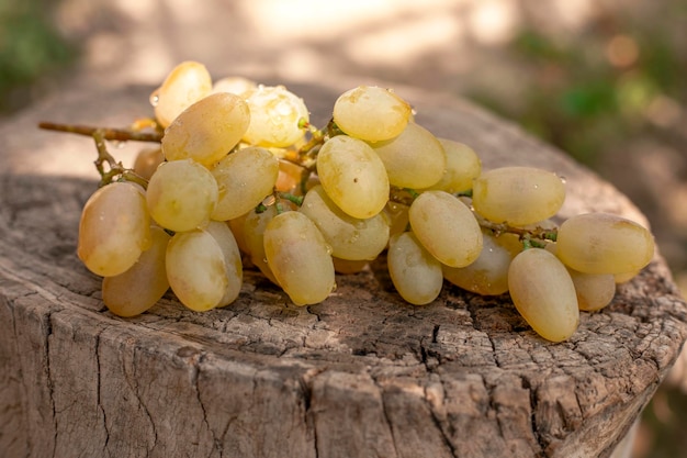 Raisins après la rosée du matin