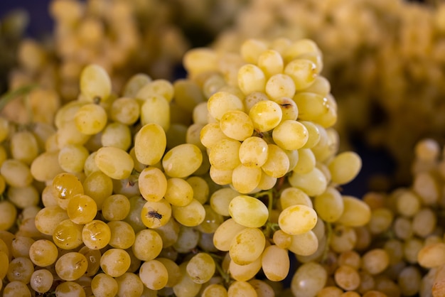 Raisins frais sur le marché