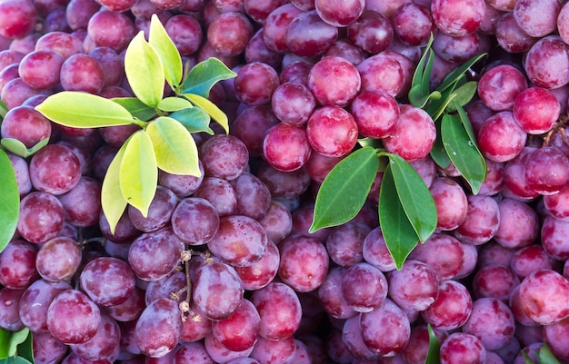 Photo des raisins frais sur le marché