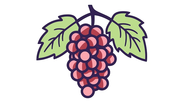 Raisins fruits icône illustration vectorielle sur fond blanc