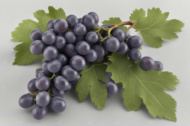 raisins isolés sur un fond blanc