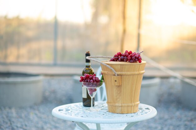 Photo les raisins mûrs dans les vignobles à la récolte d'automne